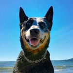 Penelope Casey - @penelopecasey - Instagram