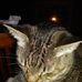 Kristen Fuller - Facebook