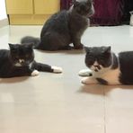 Penelope Chan - Facebook