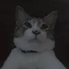 Penelope Chase - @penelope.chase0 - TikTok