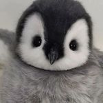 Penelope Chen - @pennychenny - Instagram