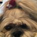 Penelope Cherry - Facebook