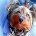 Penelope Cherry - Facebook