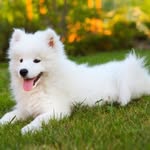 Penelope Christofel - @penelope.christofel.13 - Instagram