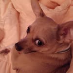 Penelope Coon - @coonpenelope - Instagram
