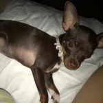 Penelope De Leon - @pennnny_deleon - Instagram