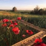 Penelope Dyer - @clairebaker511zmn - Instagram