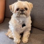 penelope - @penelopesakellis - Instagram