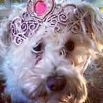 Penelope Ellis - @penelope_jane1013 - Instagram