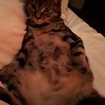 Penelope Ellis - @pennyellis8 - Instagram