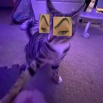 Penelope Evans - @maemae12000 - Instagram