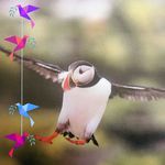 Penelope Evans - @pjpuffin14 - Instagram
