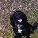 Penelope Anne Fleming - @penelope.fleming - Instagram