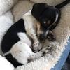 Penelope - @penelope_teenieweenie - TikTok