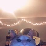 Penelope. - @penelope.good - Instagram
