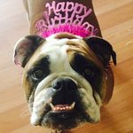 Penelope // Princess goodwin - @penelope_the_queenb - Instagram