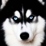 @penelope.gordon.7555749 - Instagram