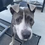 Penny Gregory - Facebook
