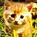 Penelope Guy - Facebook