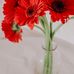 Penelope Hackett - Facebook