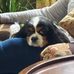 Penelope Hansen - Facebook