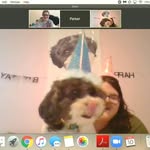@penel.opeharrison - Instagram