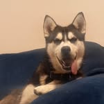 Penelope Harrison - @penelope.harrison.54 - Instagram