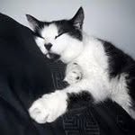 Penelope Harrison - @harrison.penelope - Instagram