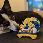 Penelope Ann Thompson-Haynes - @penelope.the.borgi - Instagram