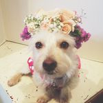 Penelope Lane Haynes - @pennylanehaynes - Instagram