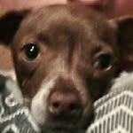 Penelope Head - @penelope_is_awesome_316 - Instagram