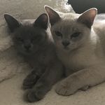 Hendricks + Penelope - @hendricks_penelope - Instagram