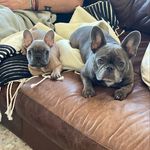 Penelope & Henry - @penelopeandhenry - Instagram