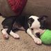 Penelope Henry - Facebook
