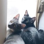 Bell & Penelope Hess - @bell.penelope.hess - Instagram