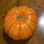 penelope hicks - @sexy_pumpkin.6931 - Instagram