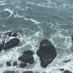 Penelope Hicks-Conner - @selkie_song_ - Instagram