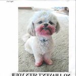 Penelope Hogan-Rizzi - @hoganrizzi - Instagram