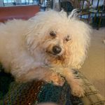 Penelope Hogan Russell - @peneloperussell567 - Instagram