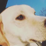 Piper Penelope Holmes - @hyperpiper_17 - Instagram