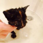 Becky Penelope Holt - @bucktoothbecky - Instagram