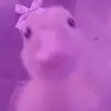 💜NELLY💜 - @penelope.holt7 - TikTok