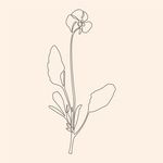 Penelope Ingram - @penelopeflorals - Instagram