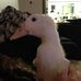 Penny Ingram - Facebook