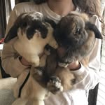Penelope & Bruno Jensen - @penelope_and_bruno - Instagram