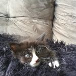 Penelope Johnston - @pennykate123 - Instagram