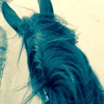 Penelope Joyce Müller - @guccithewild_ - Instagram