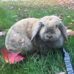 Penelope Keating - @_penelopekeating - Instagram