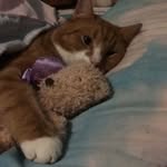 Penelope - @penelope_keyte273 - Instagram