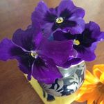 Penelope Kirkman - @kirkmanpenelope - Instagram